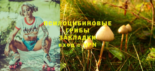 2c-b Россошь