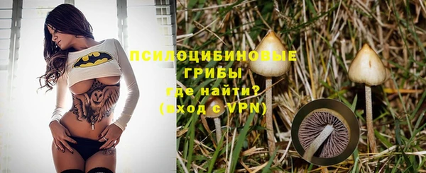 ГАЛЛЮЦИНОГЕННЫЕ ГРИБЫ Ростов