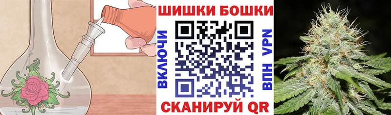 где найти   Магас  Канабис конопля 